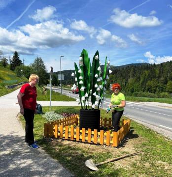 Solzice na Brdinjah (3)